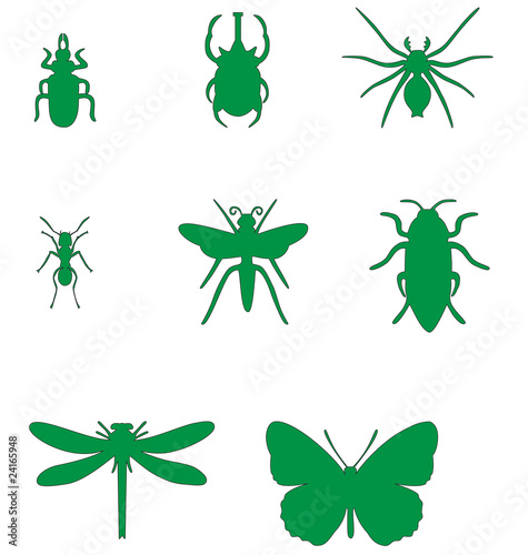 Insect set 02
