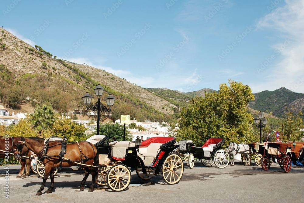 Obraz premium Coche de caballos