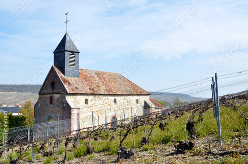 Bilde på lerret French church in the vineyard