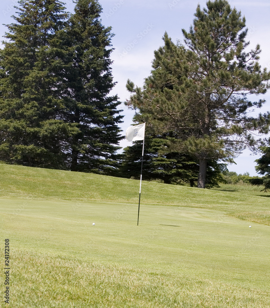 Obraz premium wHITE gOLF fLAG