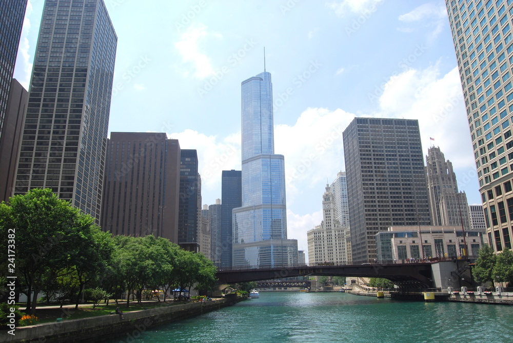 The Skyline along the Chicago River on a Summer Day.