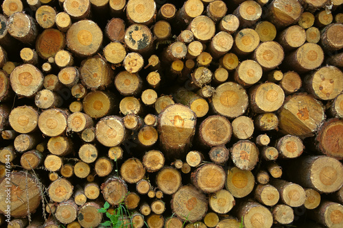 Firewood stack background