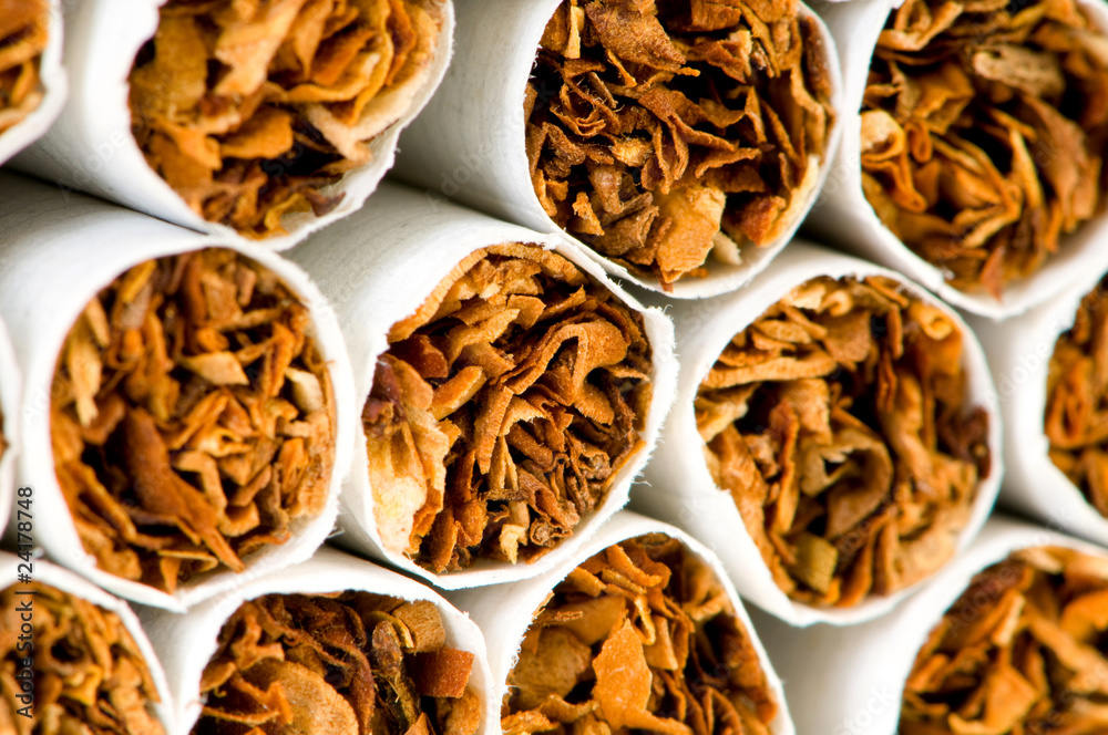 Close up of smoking cigarettes as antismoking concept Close up of smoking cigarettes as antismoking concept