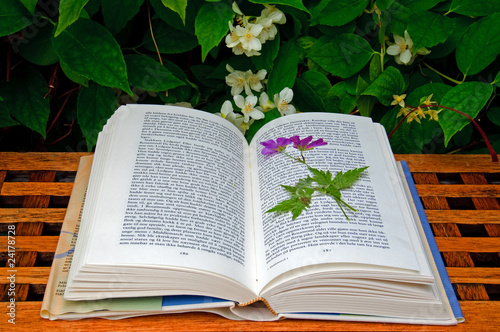 Dried flower in a book