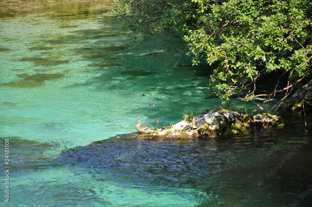 Rio en el Parque Nacional de Triglav, Eslovenia