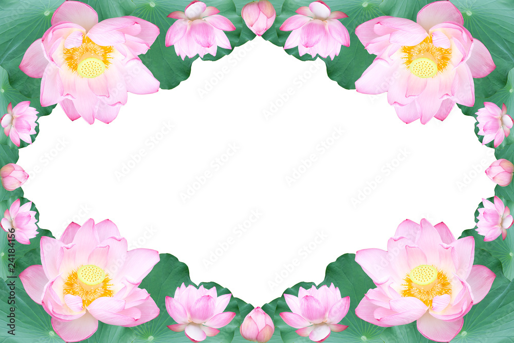 ハスの花と葉のフレーム