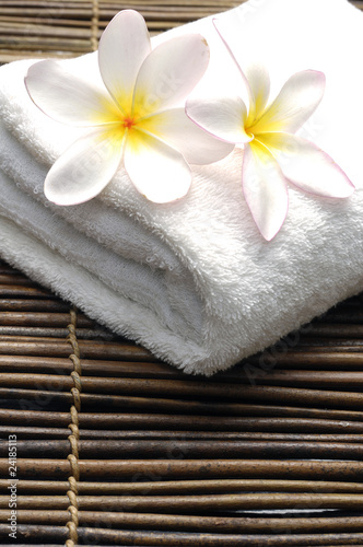 White frangipani on towel in the spa