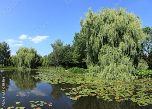 Quadro su tela étang et saules pleureurs sur jardin aquatique