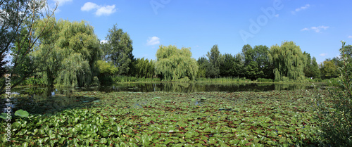 Fotografie bassin aquatique en panoramique