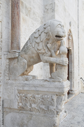 Detail of Portal of Bitetto Cathedral. Apulia.