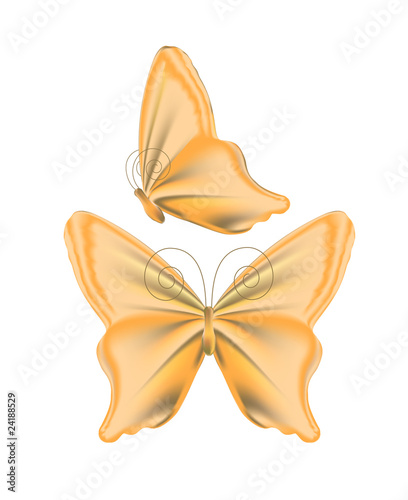 Two Orange Butterflies