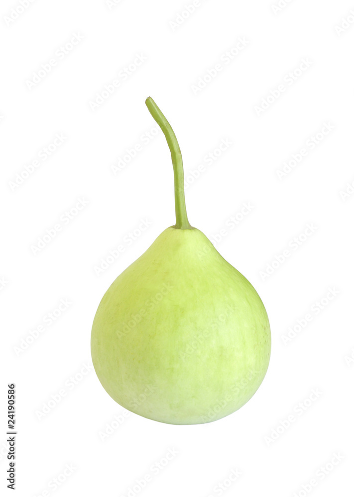 Green round bottle gourd Green round bottle gourd