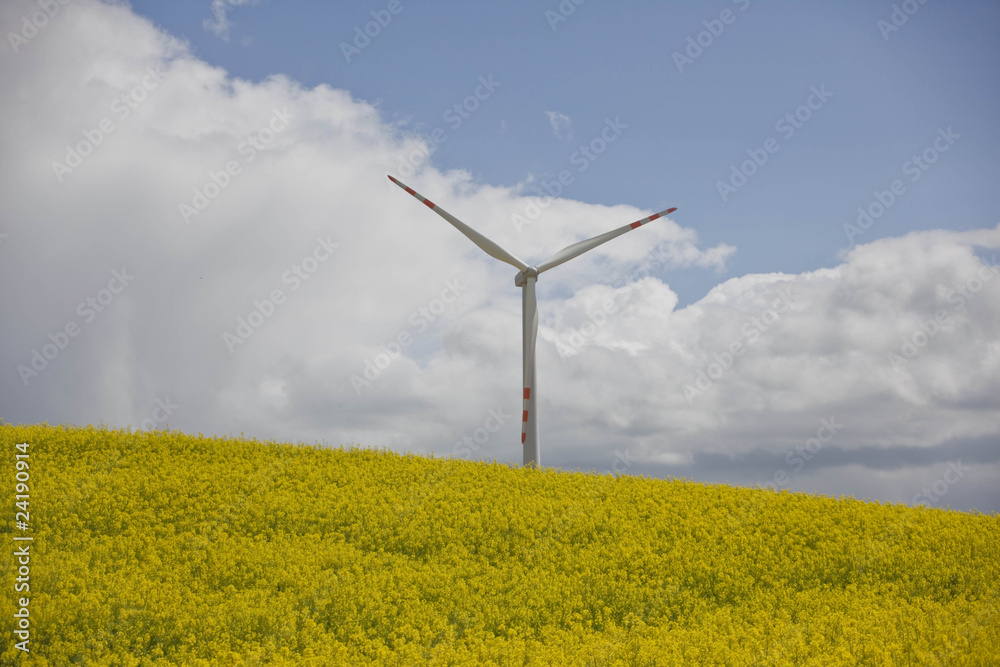wind turbine in the field