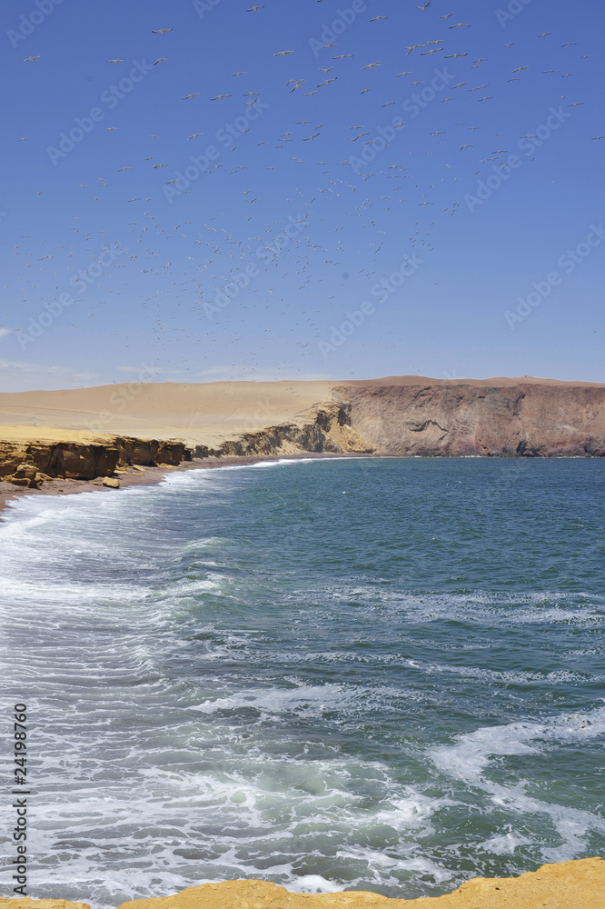 Ocean coast landscape in Paracas