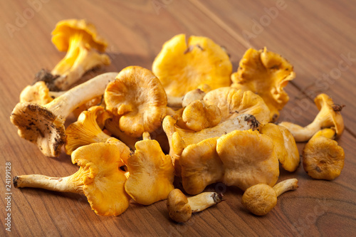 fresh chanterelle mushrooms