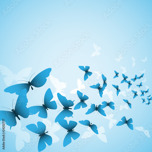 Butterfly Background