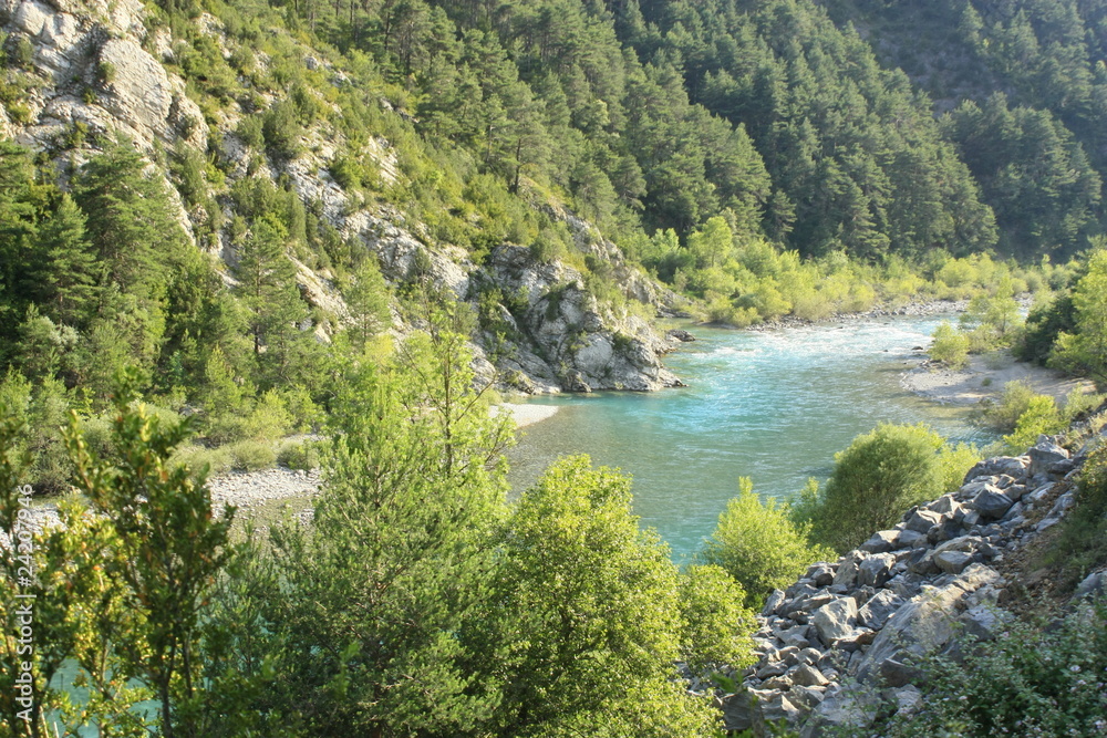 rio ara en Pirineos