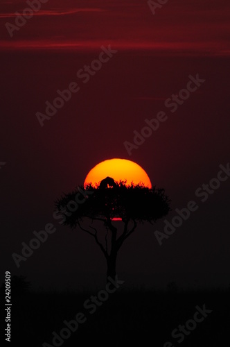 African sunset in Masai Mara, Kenya © PROMA