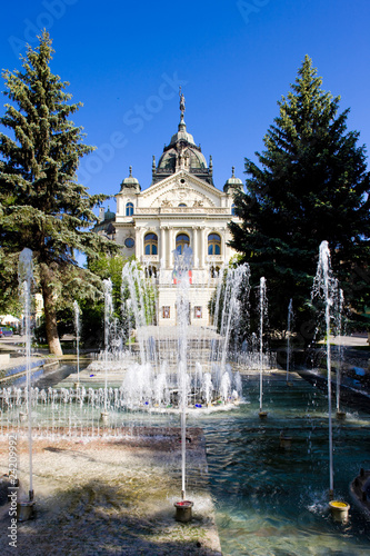 Theatre of J. Borodac with fountain, Kosice, Slovakia