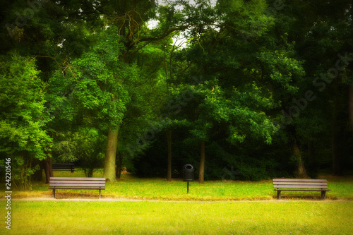 Park in spring time