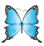 Blue butterfly. eps10