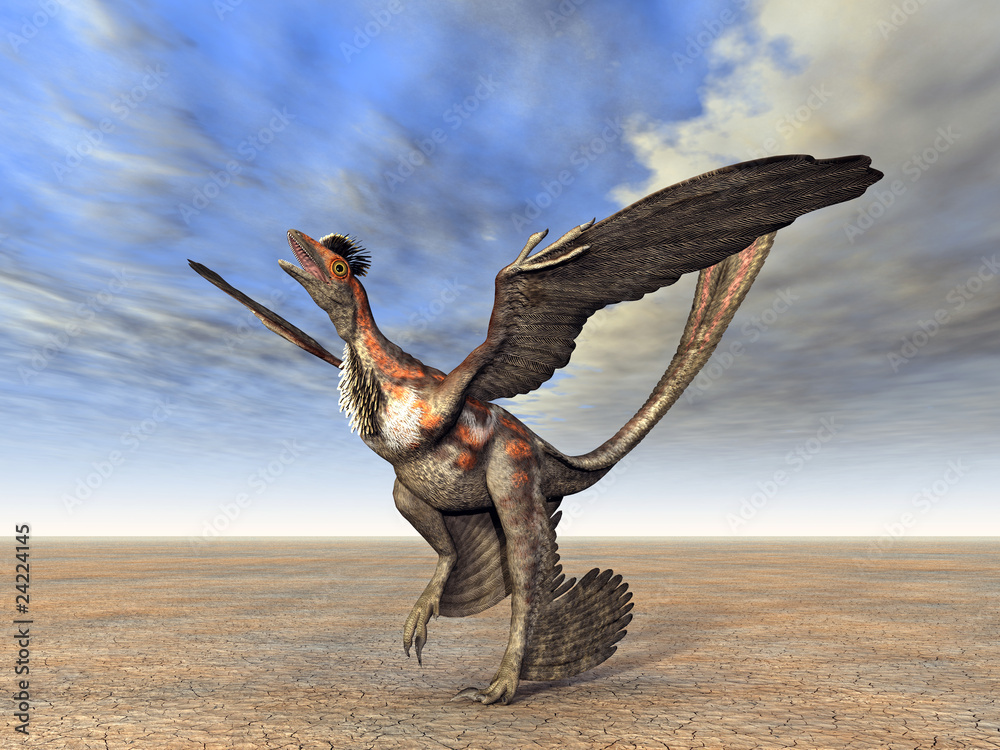 Microraptor Microraptor
