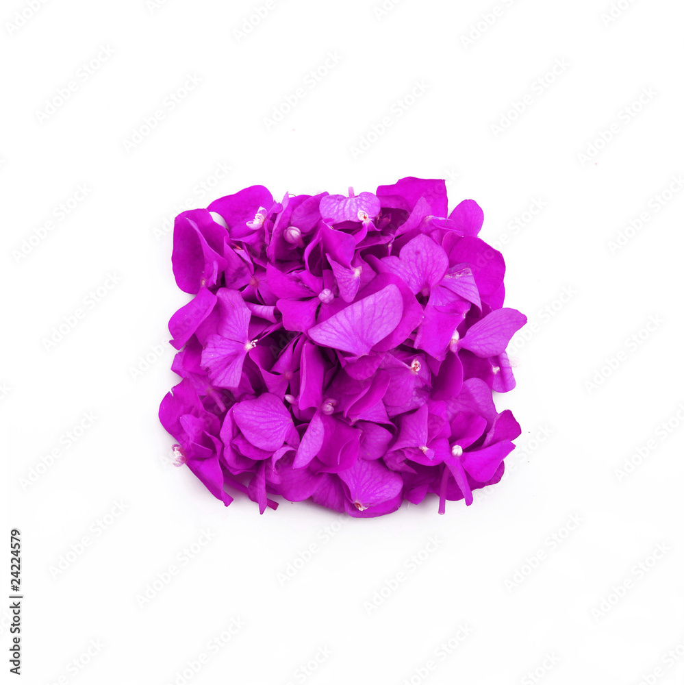 Obraz premium essenza profumata