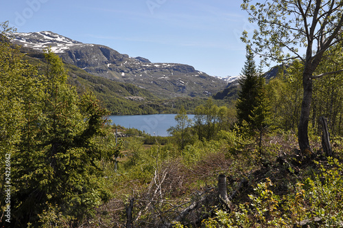 Lake at Vatnahalsen Norway