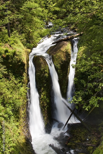 Obraz na plátně Ainsworth Hiking Trail in Oregon, USA.