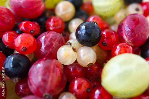 Beeren, nah