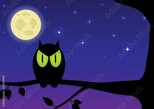 Owl