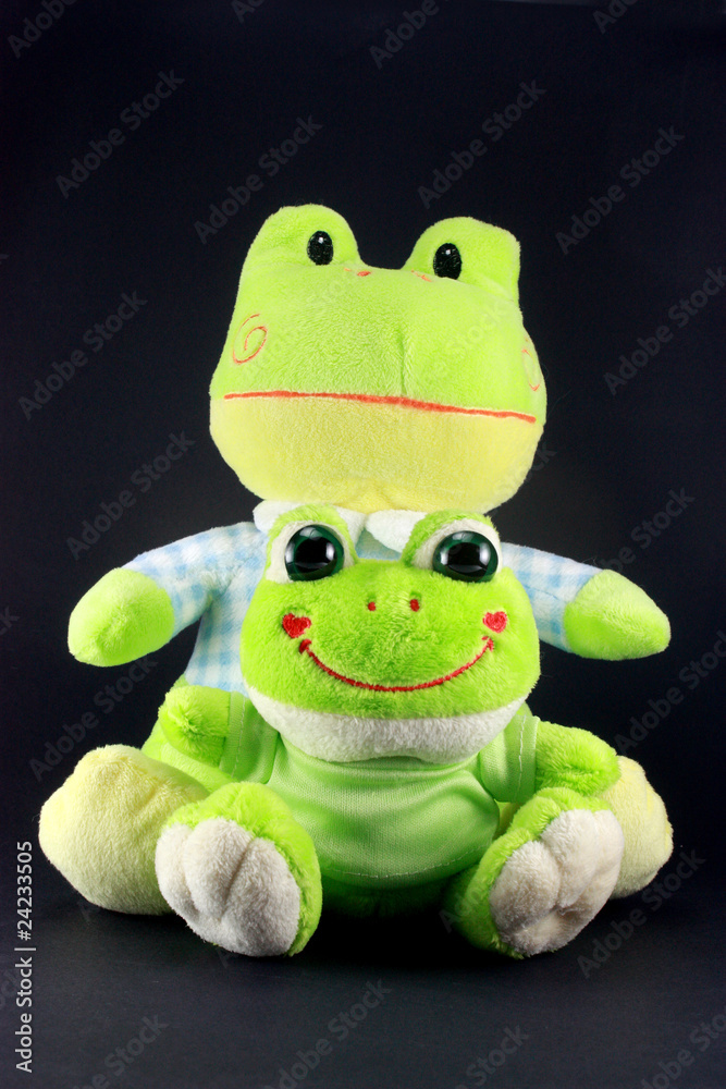 Fototapeta premium Frog Dad and Frog Baby