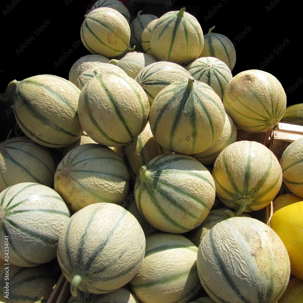 Melons du marché