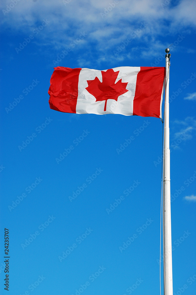 Canadian flag waving in breeze Canadian flag waving in breeze