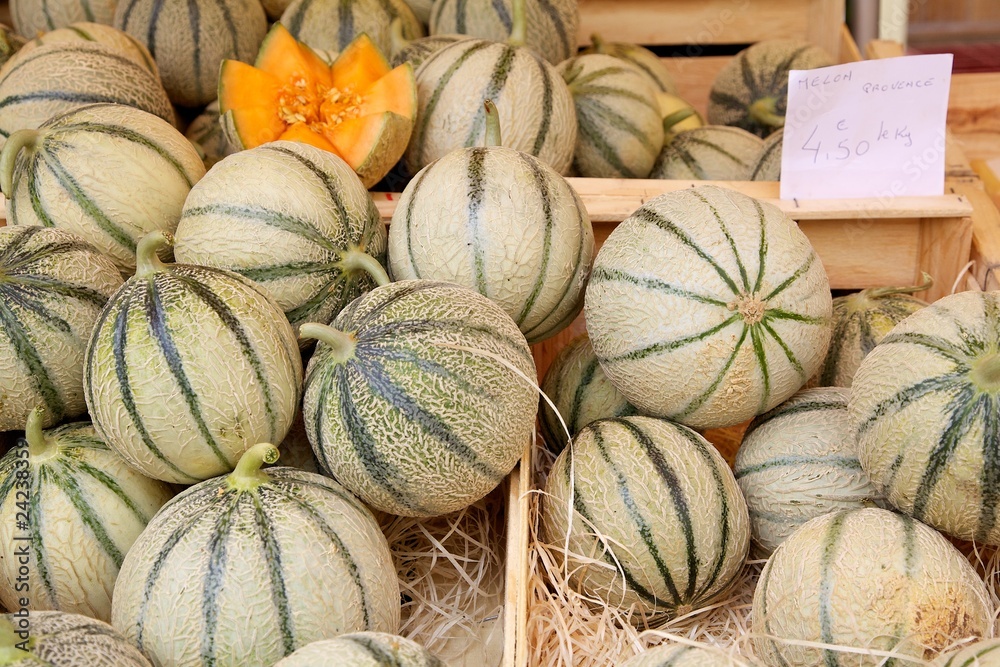 Melons on a Market Stall