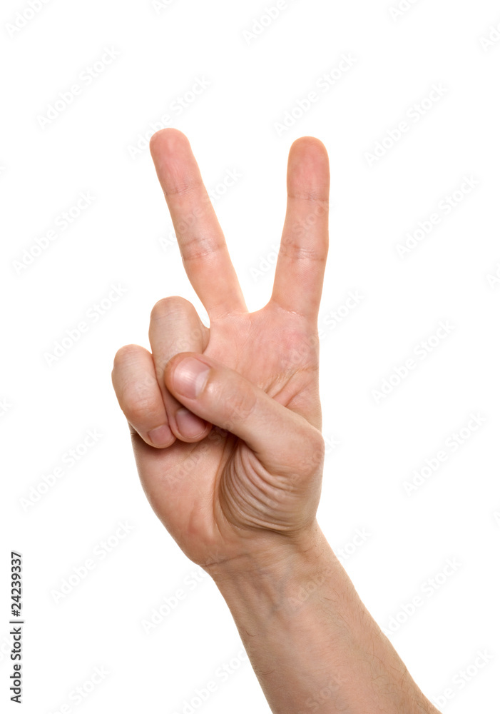 well shaped business man hand count isolated over white. two well shaped business man hand count isolated over white. two
