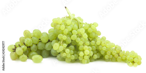 branch of green grapes