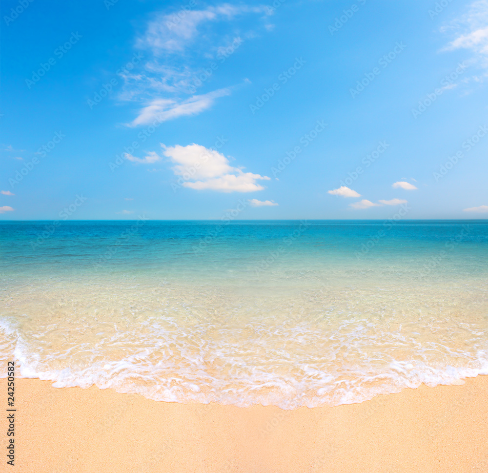 Obraz premium beach and tropical sea