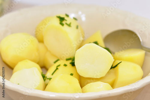 Speisekartoffel