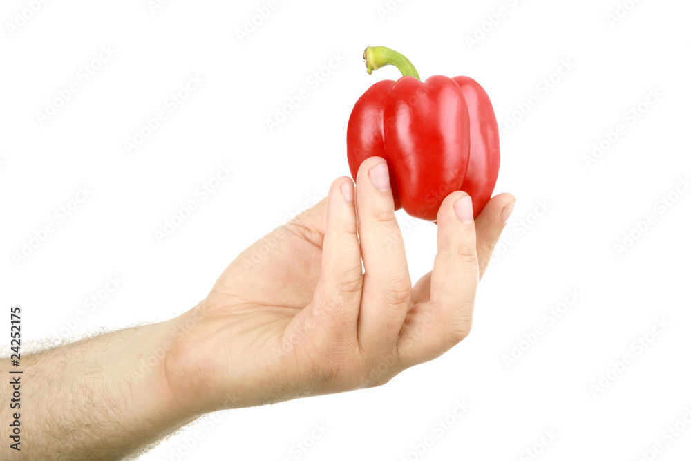 The man's hand holds sweet red pepper The man's hand holds sweet red pepper