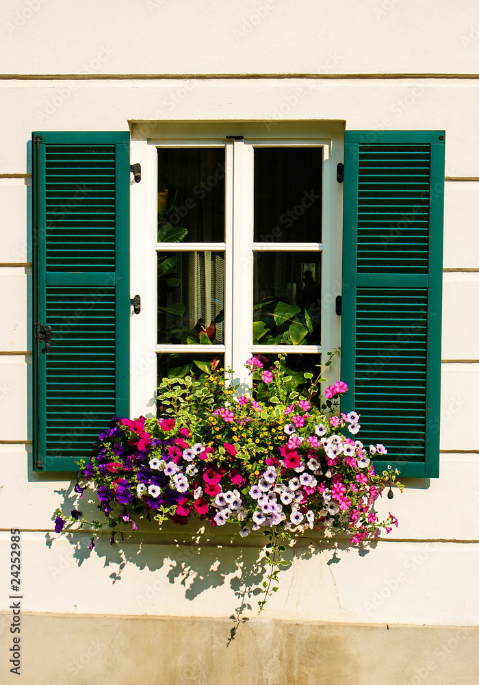 Flowerbox on a window.