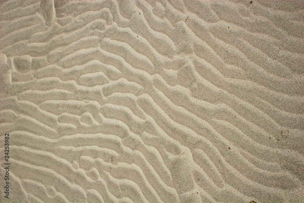 Fototapeta premium ripples in the sand