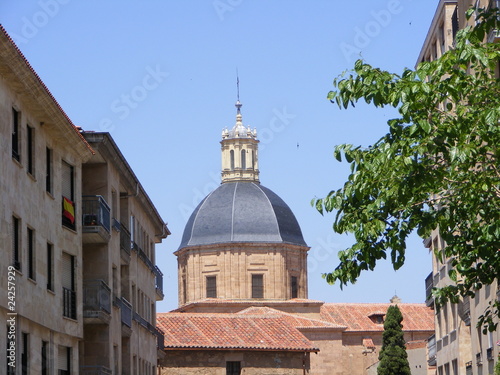Catedra de Salamaca