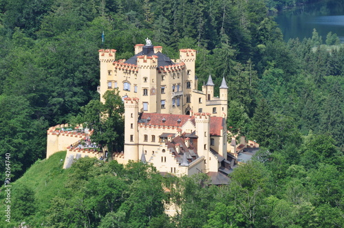 Schloss Hohenschwangau #24264740