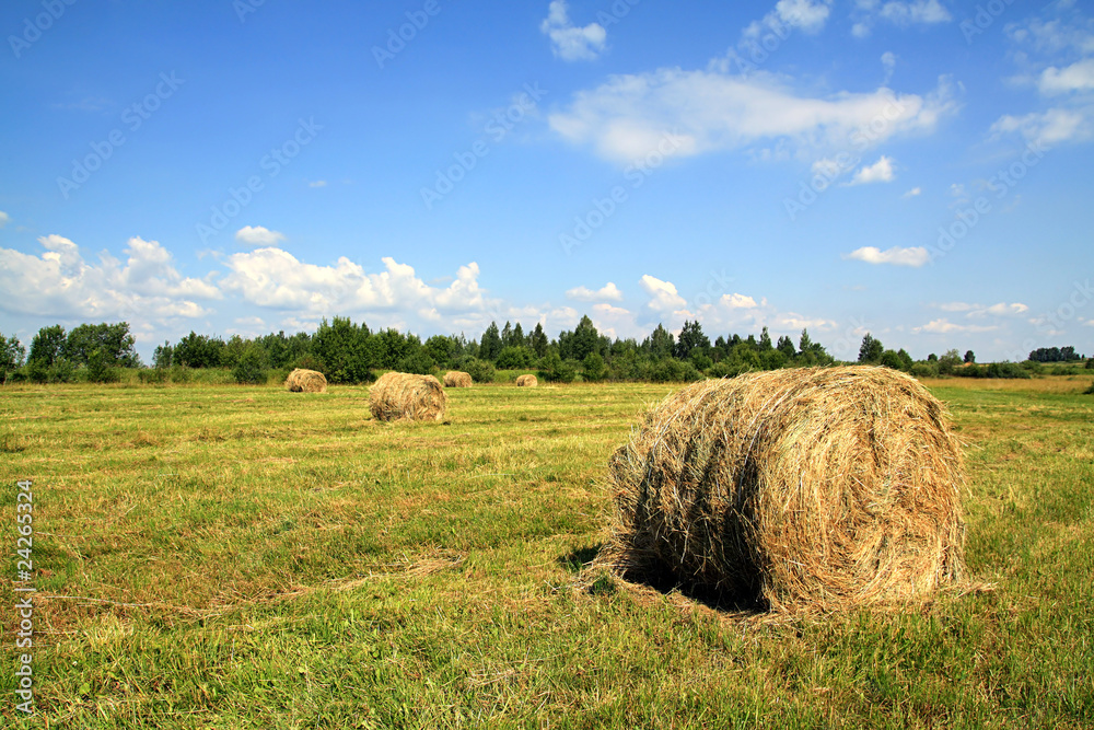 hay in stack