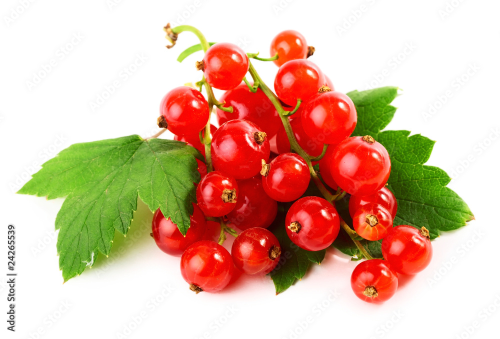 Currant Currant