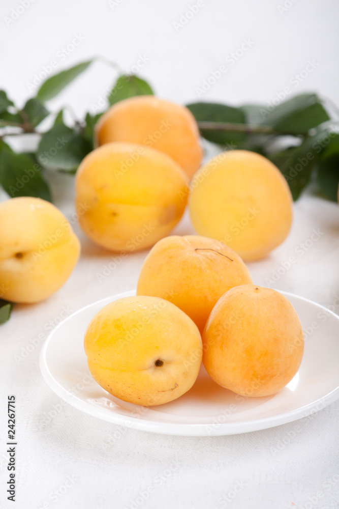 fresh apricots