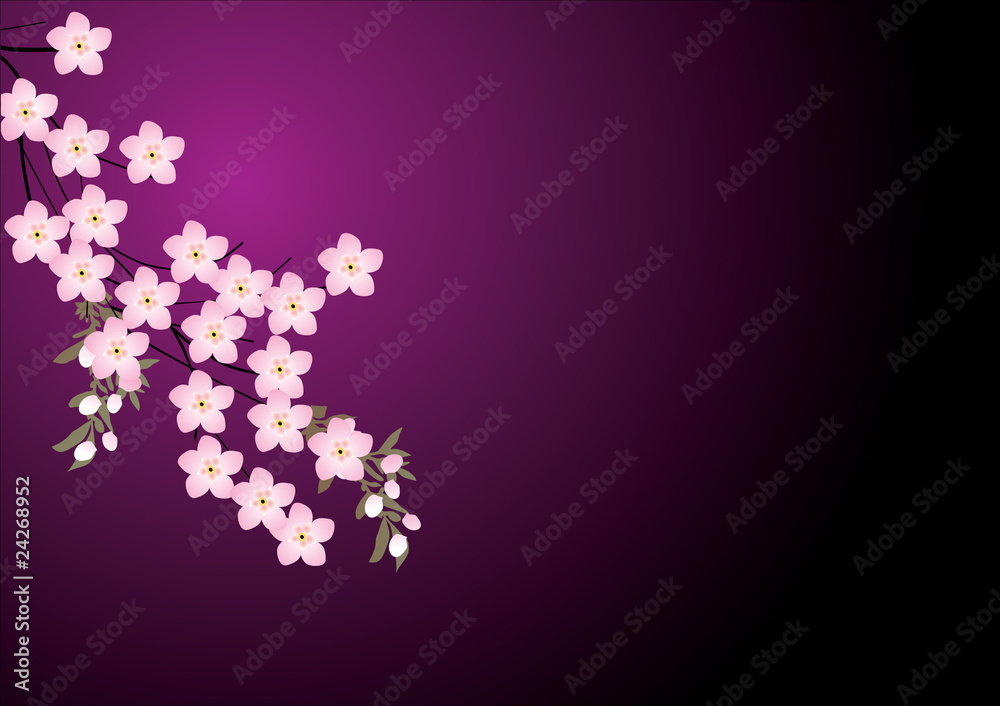 pink flowers on dark lilac background