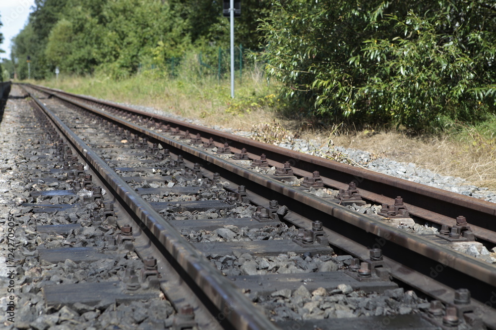 Fototapeta premium Schienen