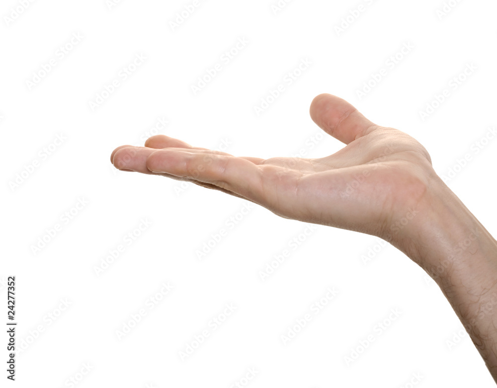 well shaped male hand holding something well shaped male hand holding something